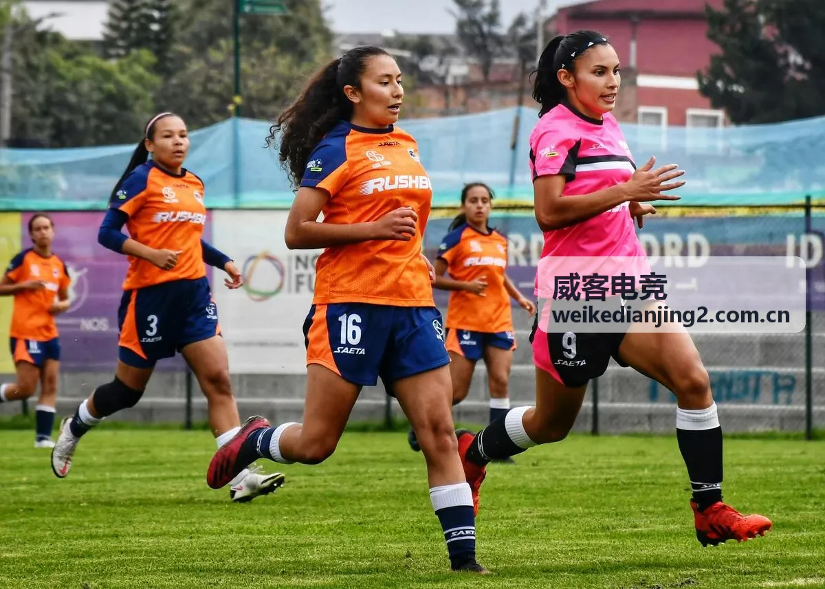 威客电竞风控模型